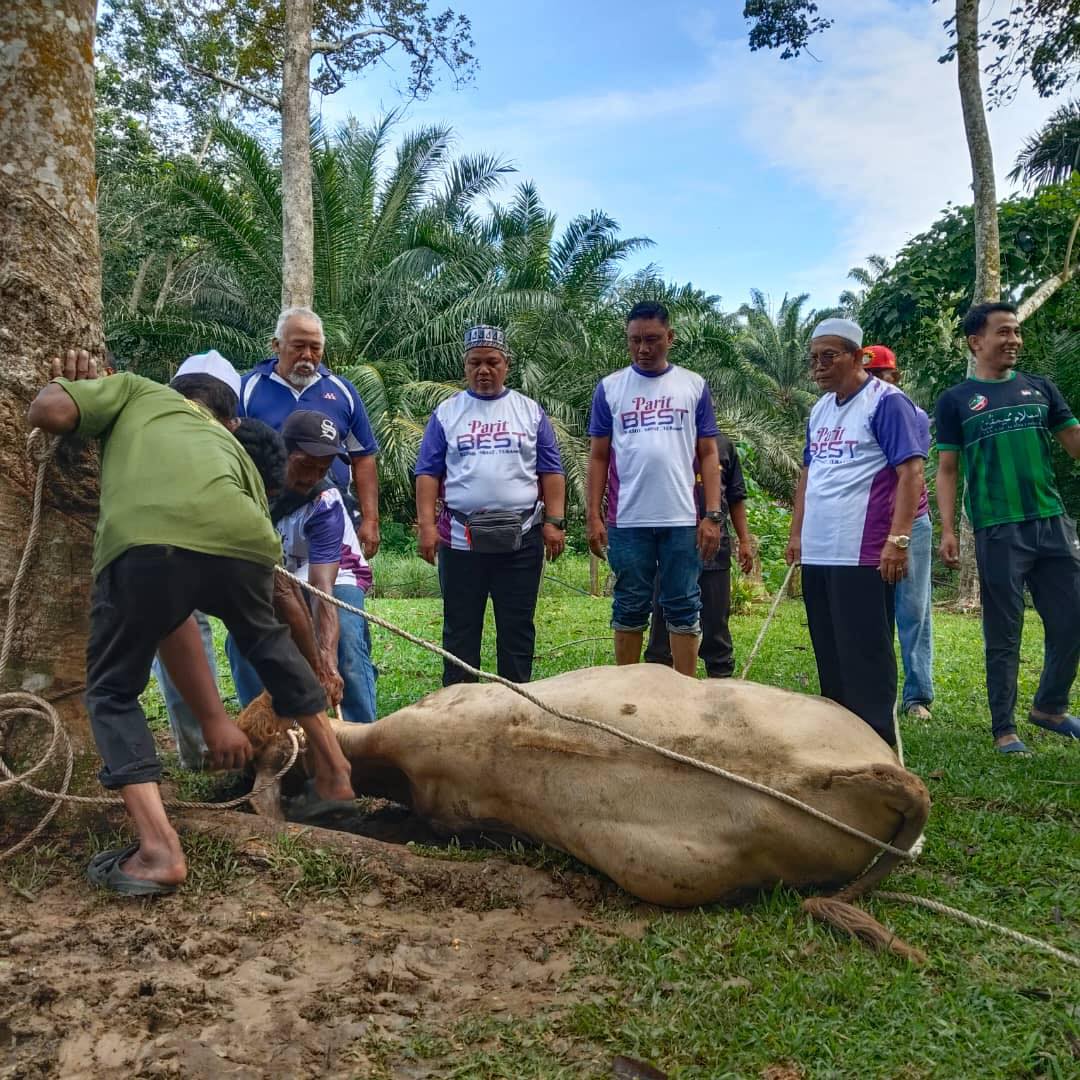 Korban Di Parit
